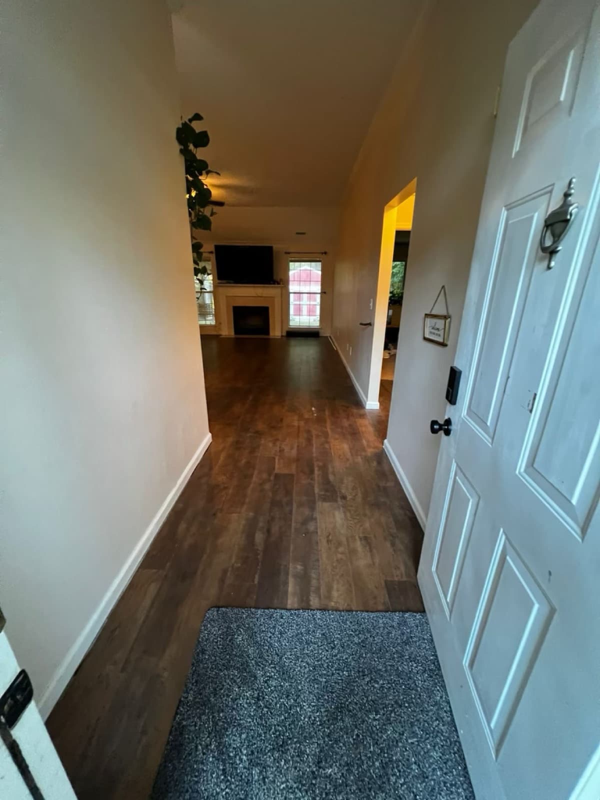 Dark wood-look LVP flooring through an entryway and living area